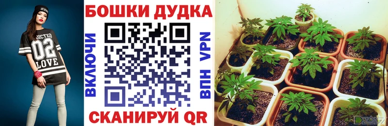 Шишки марихуана сатива  дарк нет официальный сайт  Татарск  MEGA сайт 